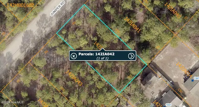 Lot 45 Juniper Road, Boiling Spring Lakes, NC 28461 - #1