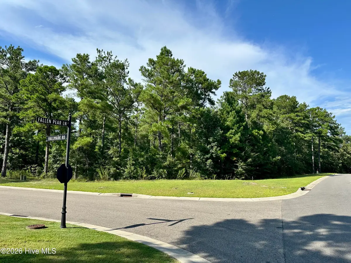 3775 Hallmark Road Ne, Leland, NC 28451 - #1