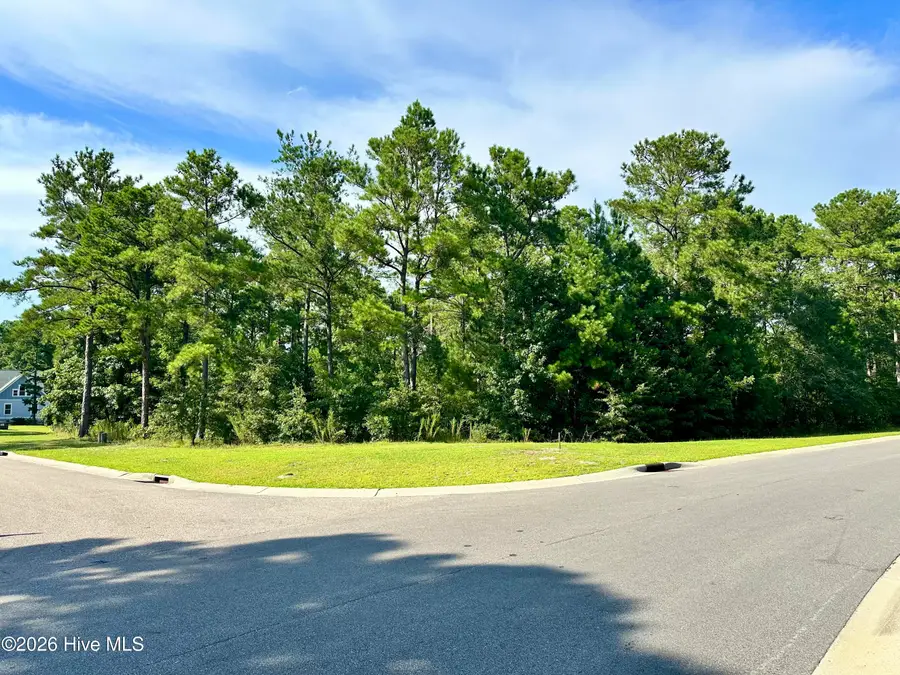 3775 Hallmark Road Ne, Leland, NC 28451 - #2