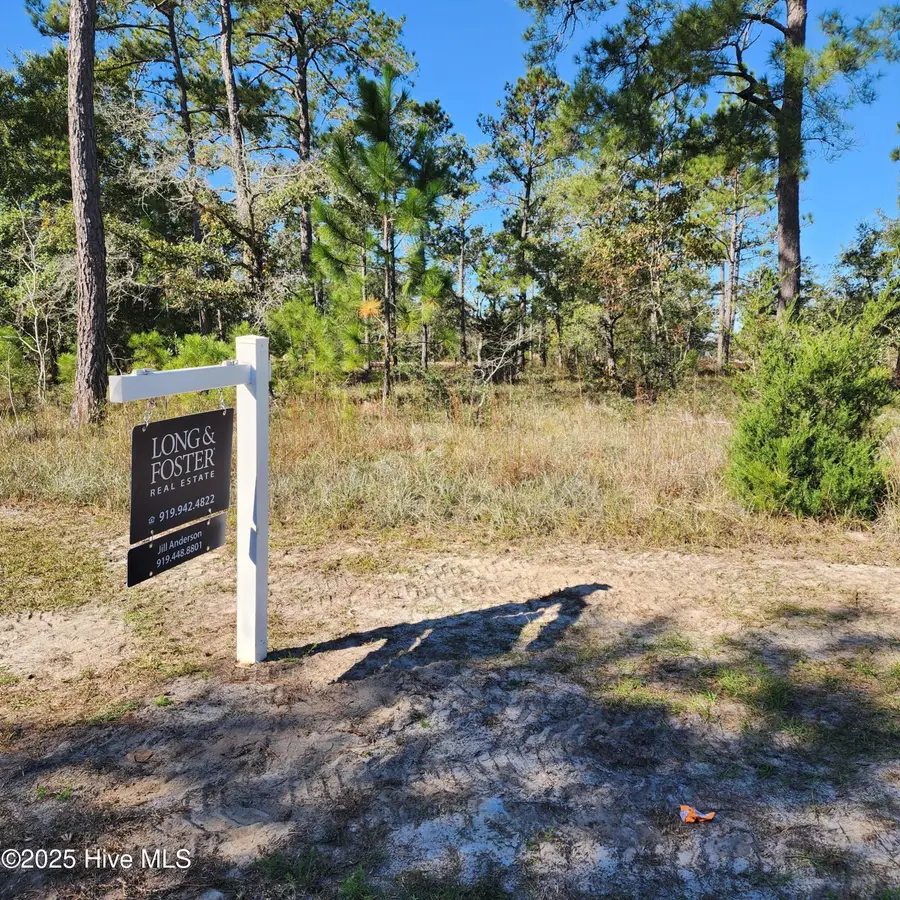 551 Glitter Bay Loop, Shallotte, NC 28470 - #2