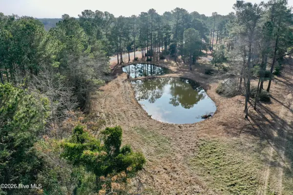 0 Near 4635 Hallsboro Road N, Clarkton, NC 28433
