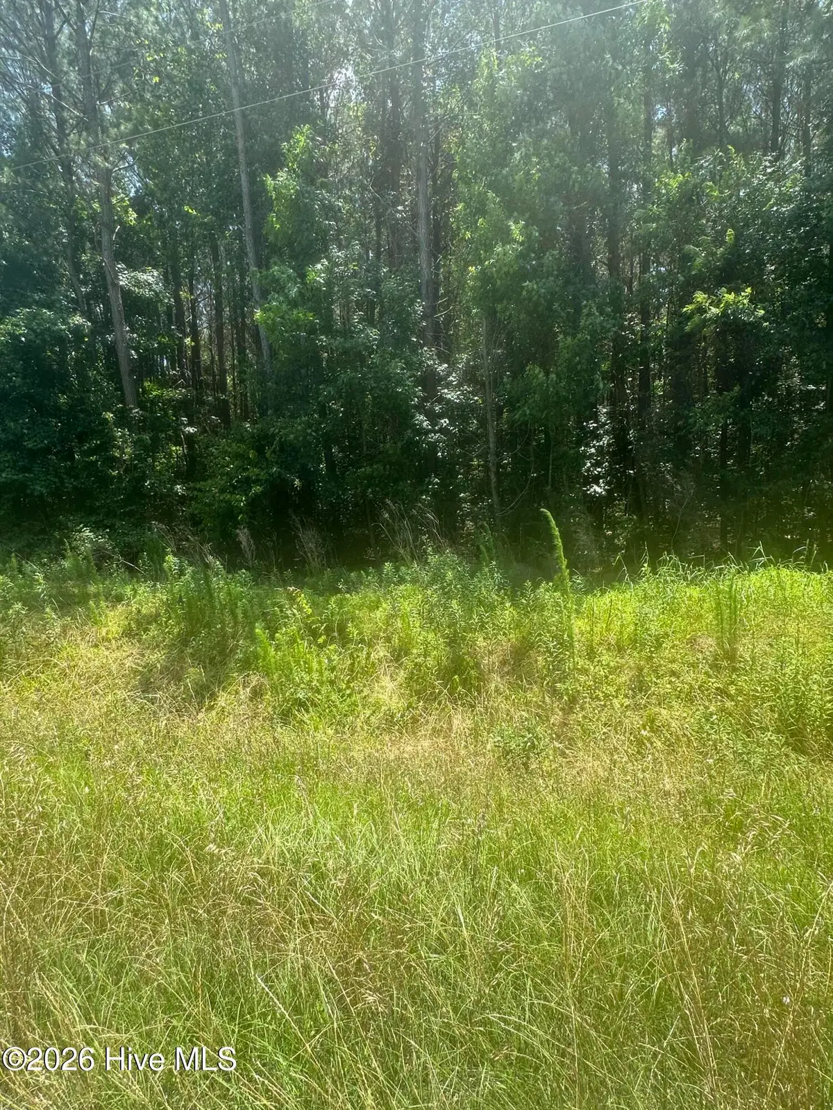 Near 721 Near 721 Joe Piver R Road, Chadbourn, NC 28431 - #1