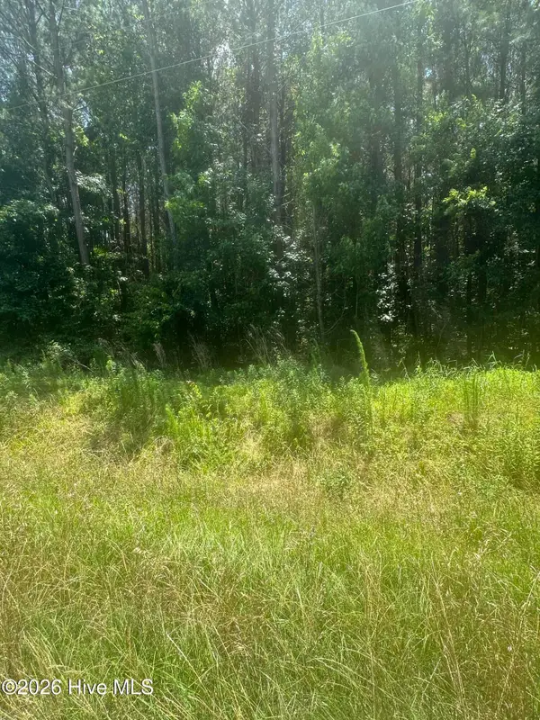 Near 721 Near 721 Joe Piver R Road, Chadbourn, NC 28431