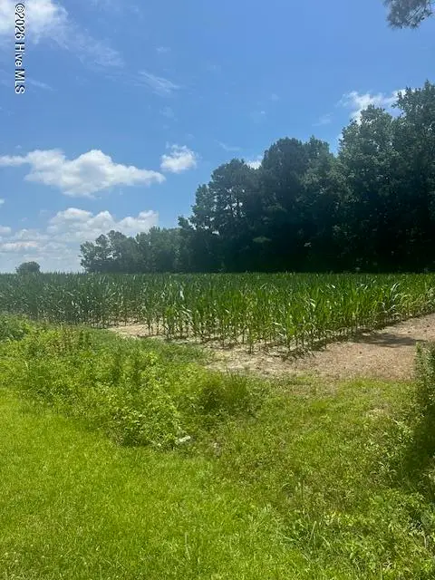 Near 721 Near 721 Joe Piver R Road, Chadbourn, NC 28431 - #2