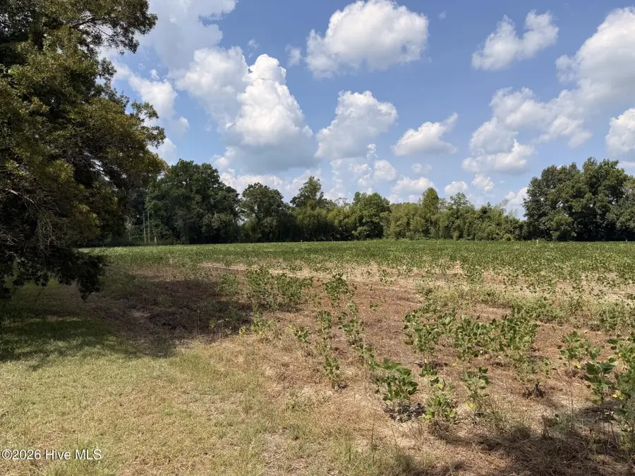 685 Snake Road, Lumberton, NC 28358 - #3