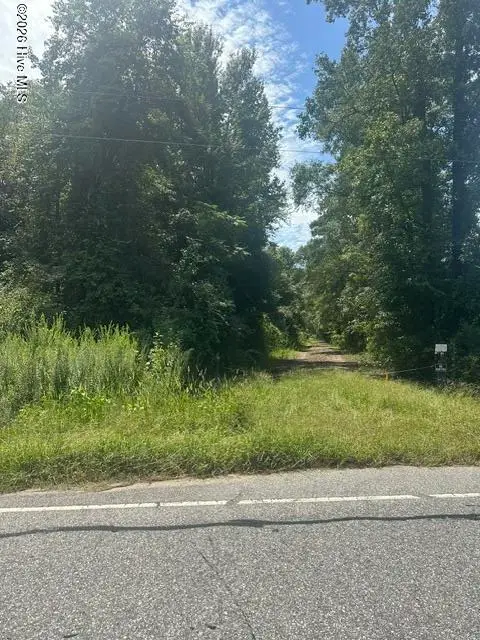Near 3691 Braswell Road, Chadbourn, NC 28431 - #1