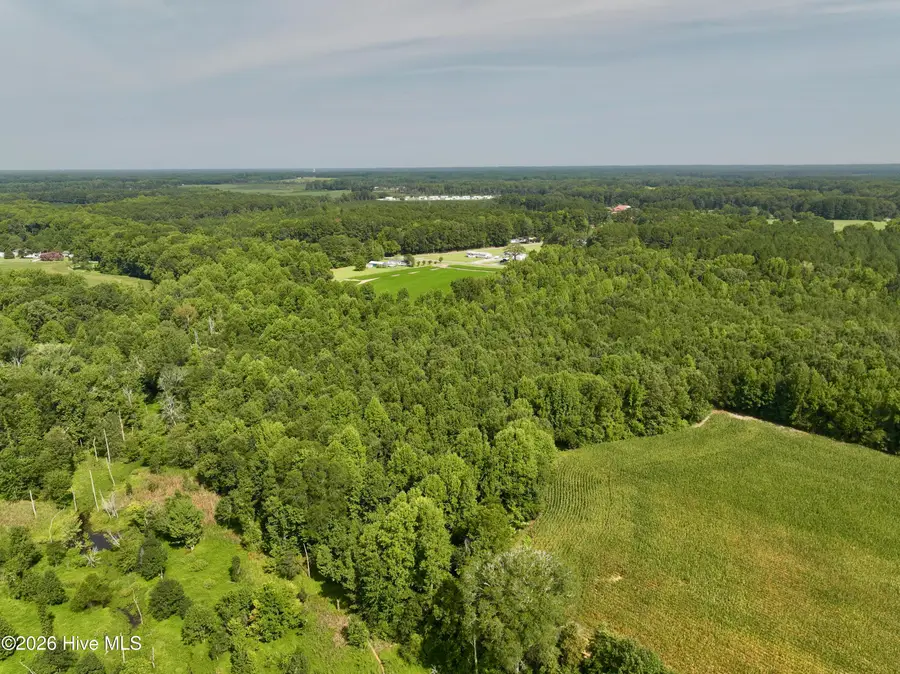 Lot 2 Mobley Road, Lucama, NC 27851 - #2
