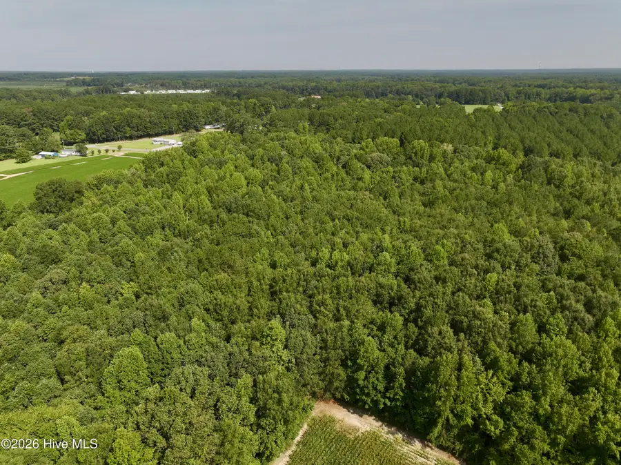 Lot 2 Mobley Road, Lucama, NC 27851 - #3