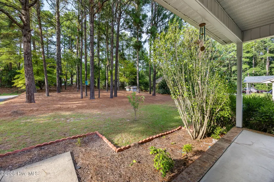 515 Holly Grove School Road, West End, NC 27376 - #3