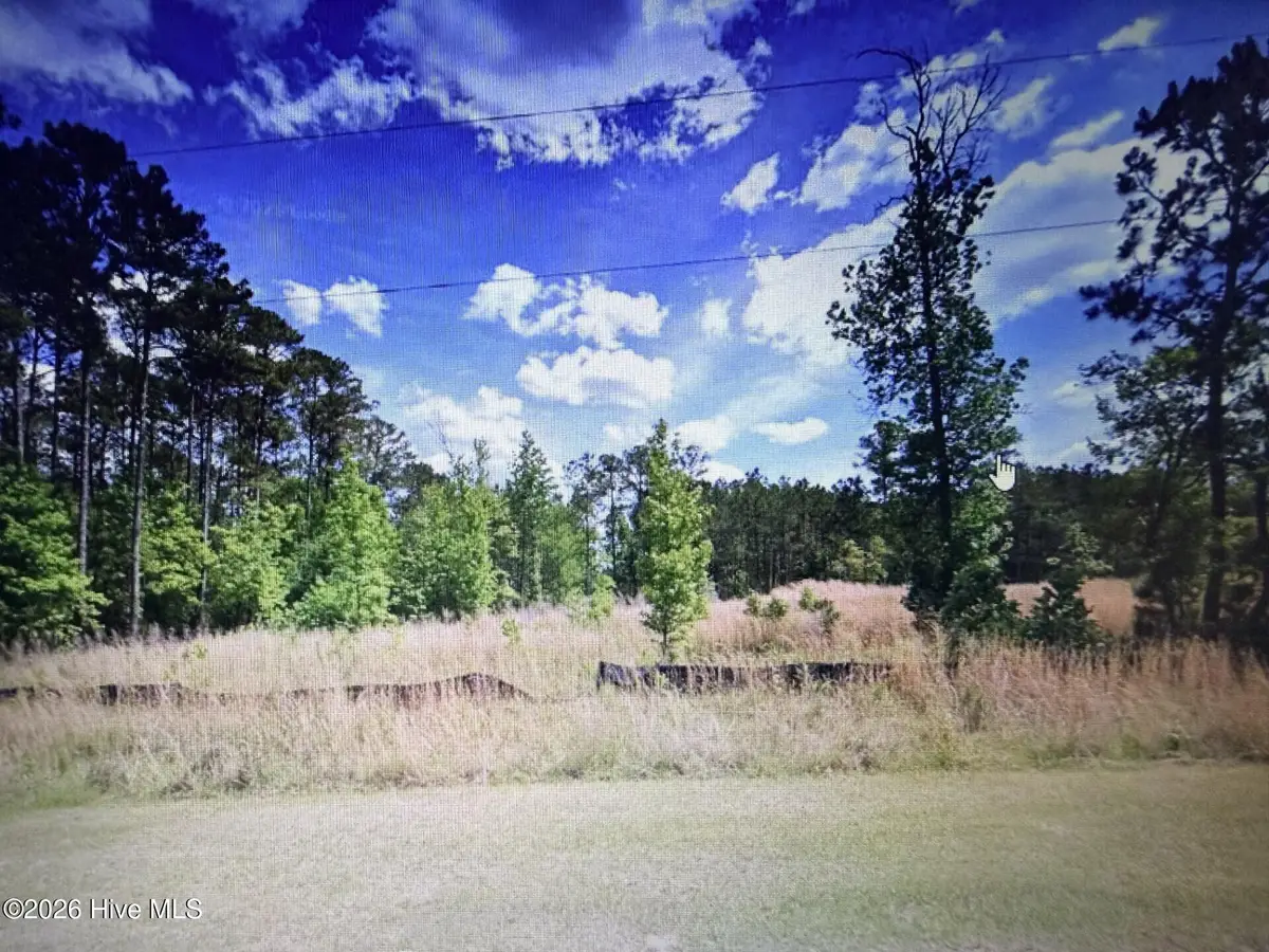 1019 Eagles Nest Trail, Tignall, GA 30668 - #1