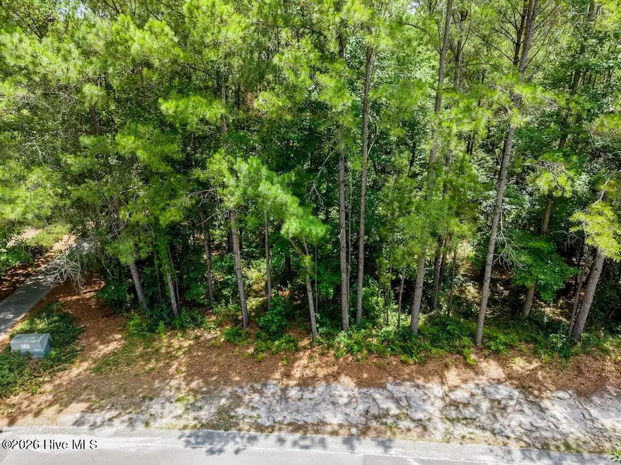 289 River Ridge Drive, Wallace, NC 28466 - #2