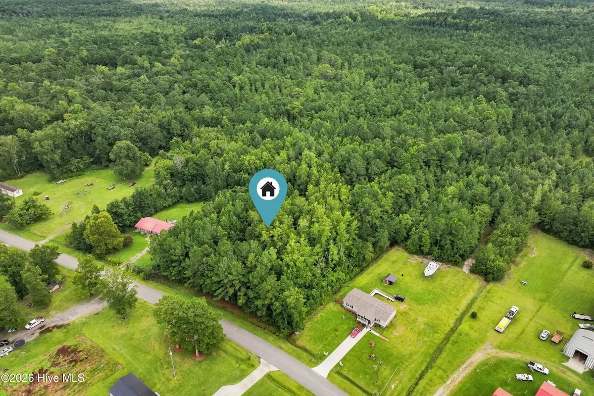 711 Lee Road, Maple Hill, NC 28454 - #1