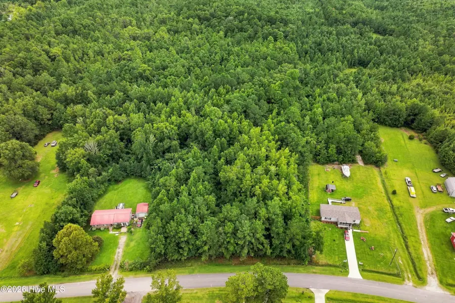 711 Lee Road, Maple Hill, NC 28454 - #2