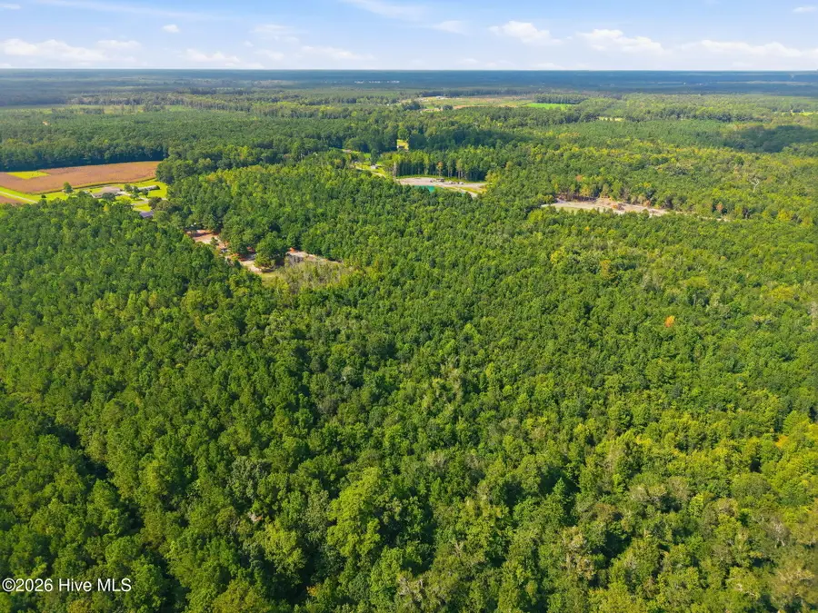 L2 Verlinz Haws Run Road, Maple Hill, NC 28454 - #2