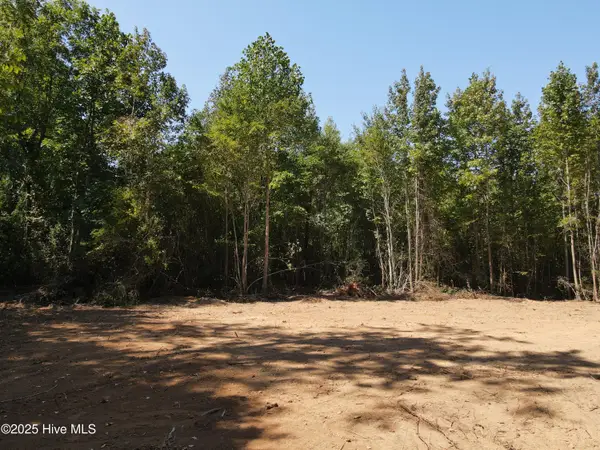 00 Alert Road, Louisburg, NC 27549
