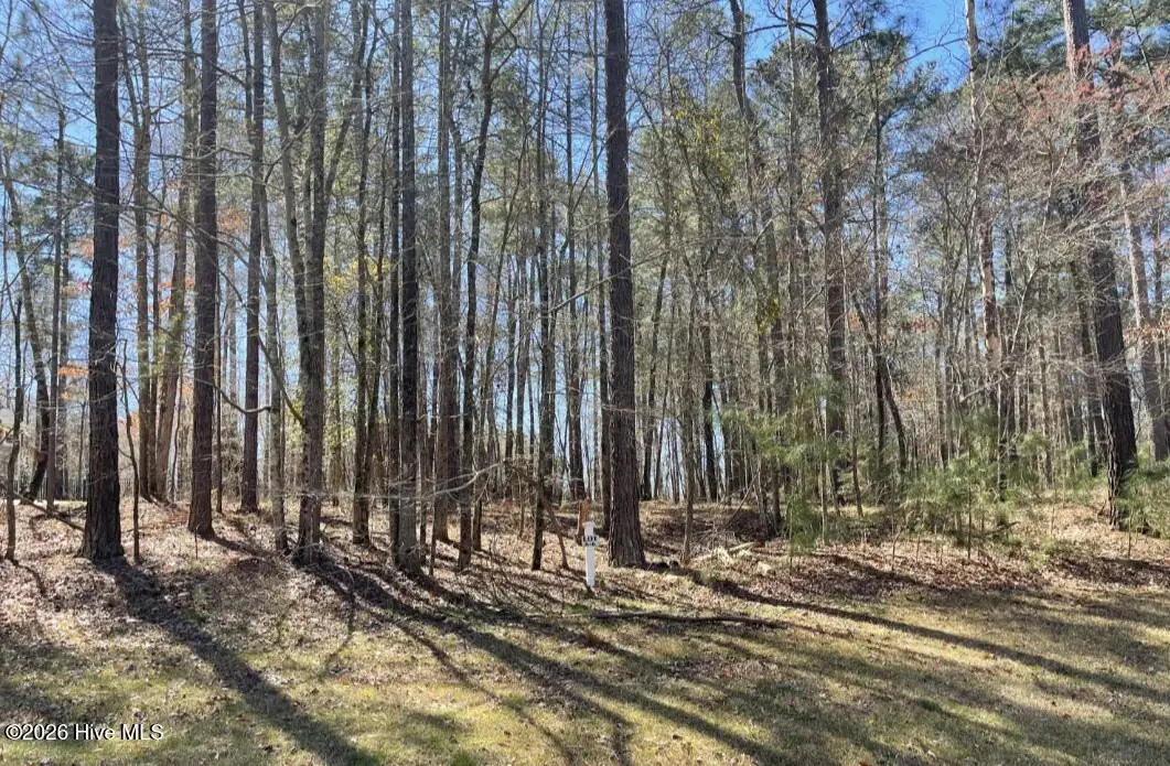K-6 Shooting Match Lane, North Augusta, SC 29860 - #1