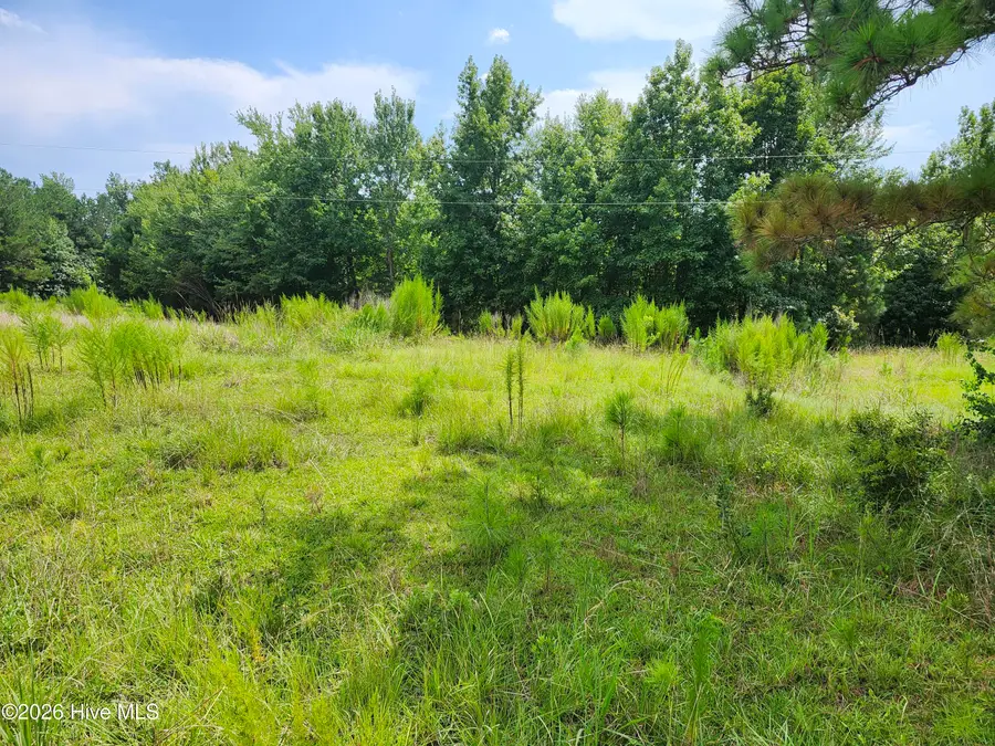 306 Howards Landing Road, Hampstead, NC 28443 - #2