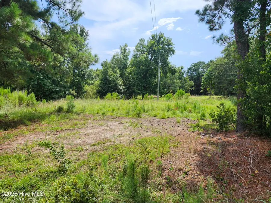 306 Howards Landing Road, Hampstead, NC 28443 - #3