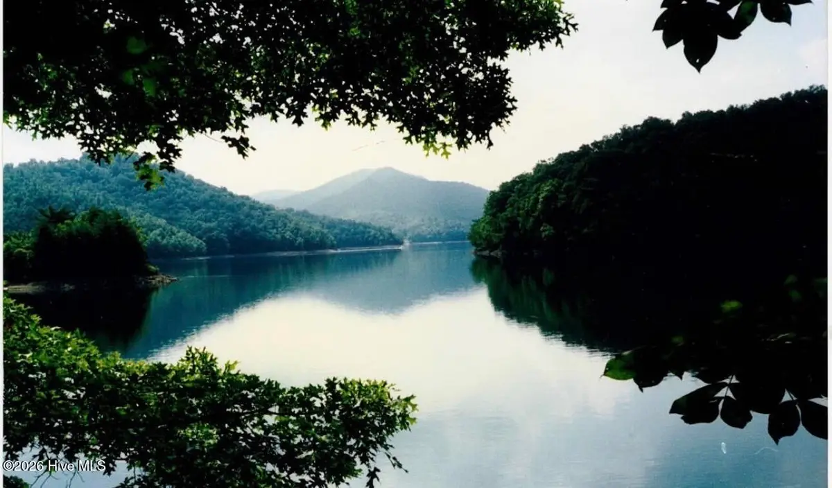 21 Rainwater Point, Topton, NC 28781 - #1