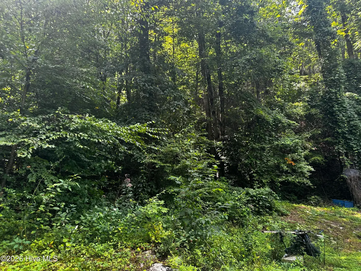 2710 Junaluska Road, Andrews, NC 28901 - #1