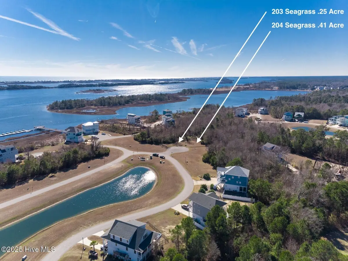204 Seagrass Court, Holly Ridge, NC 28445 - #1