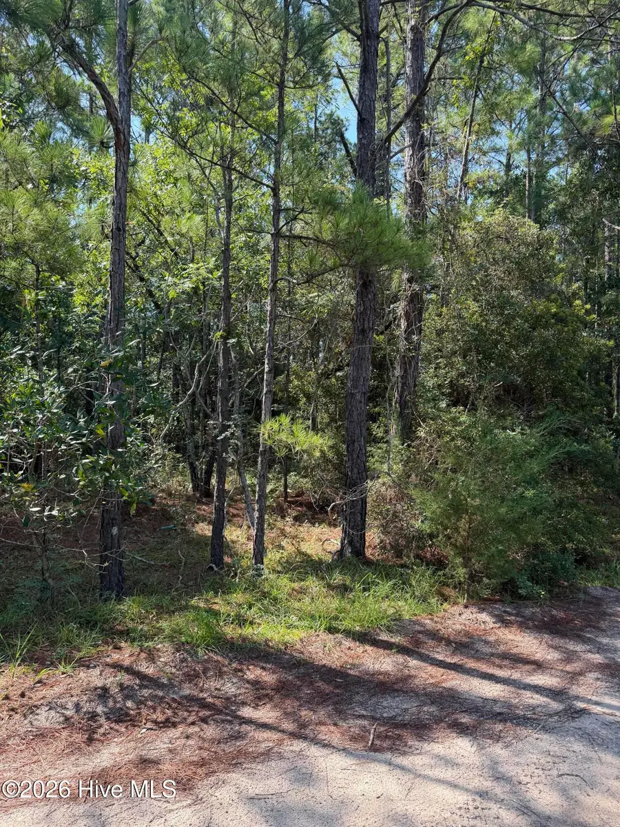 2865 Robin Drive Sw, Shallotte, NC 28470 - #2