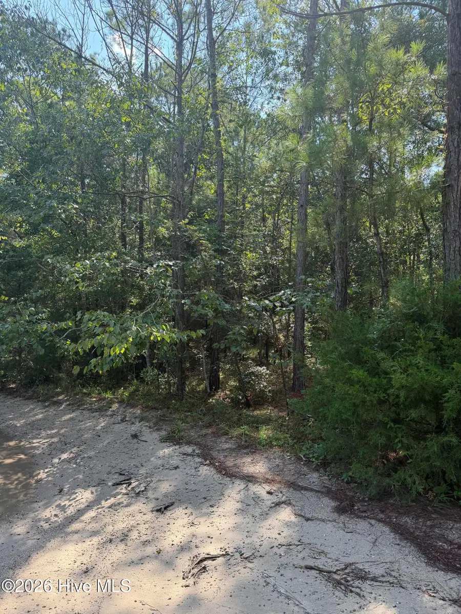 2865 Robin Drive Sw, Shallotte, NC 28470 - #3