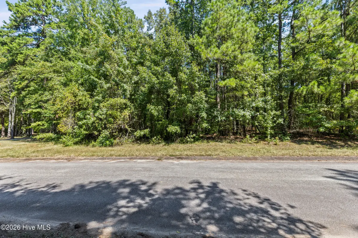 1384 Tanyard Creek Drive, Thomson, GA 30824 - #1