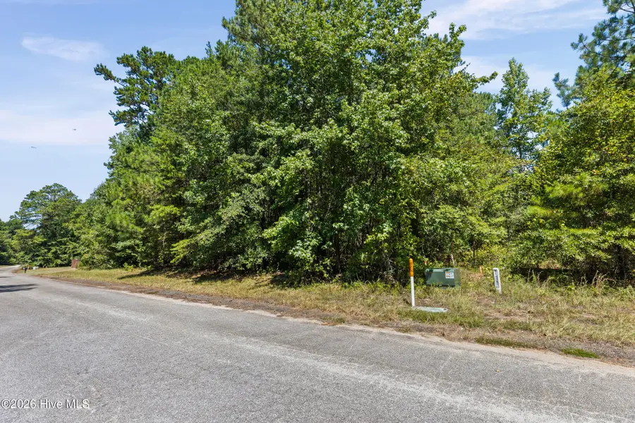 1384 Tanyard Creek Drive, Thomson, GA 30824 - #3
