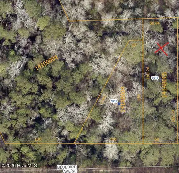 5018 Bluebird Lane Se, Bolivia, NC 28422 - #2