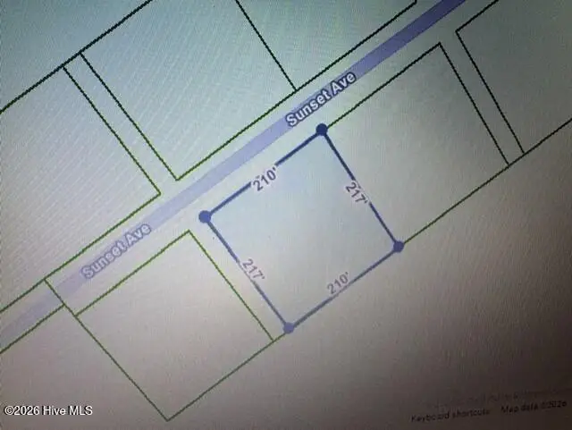 Lot 4 Sunset Road, Willard, NC 28478 - #1