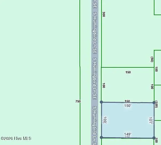 Lot 23&24 S Humingbird Lane Se, Boiling Spring Lakes, NC 28461 - #1