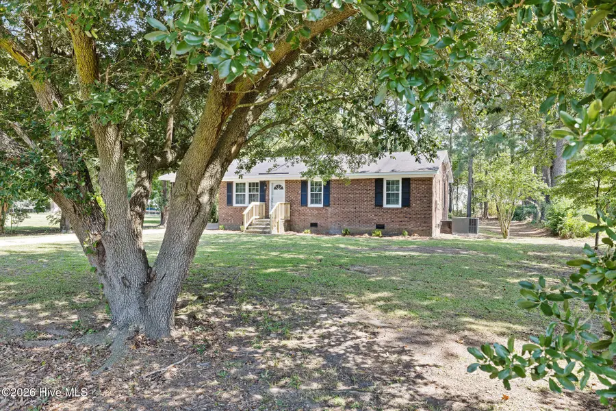 209 Greenacres Road, Snow Hill, NC 28580 - #3