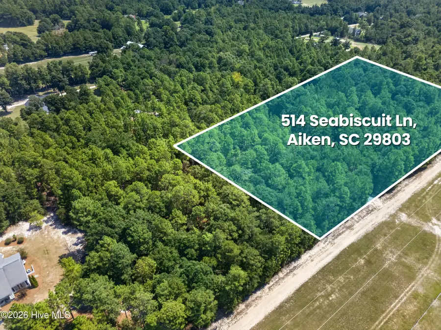 514 Seabiscuit Lane, Aiken, SC 29803 - #2