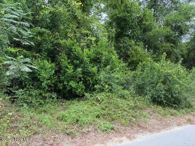 00 Cherry Street, Beech Island, SC 29842 - #1