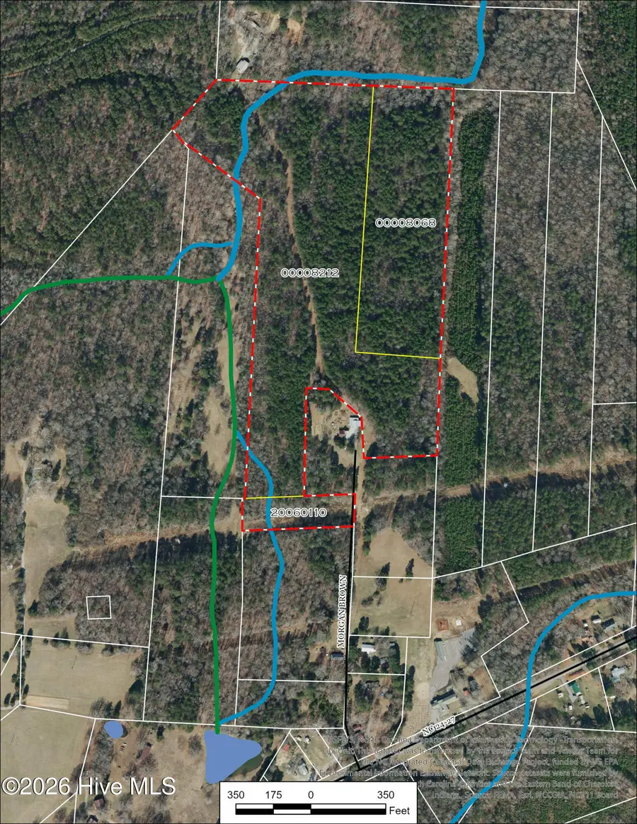 Tbd Morgan Brown Road, Eagle Springs, NC 27242 - #2