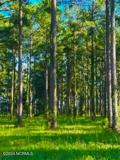 218 Cassie May Boulevard, Oriental, NC 28571 - #1
