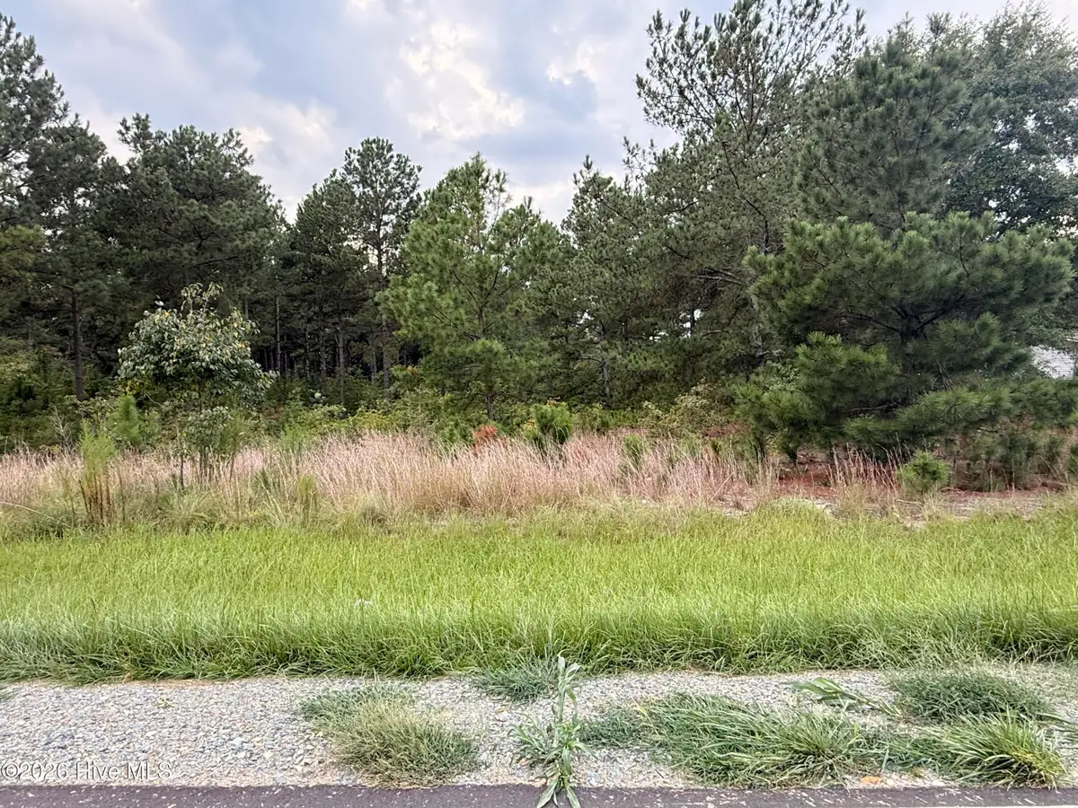 1284 Windblow Road, Jackson Springs, NC 27281 - #1