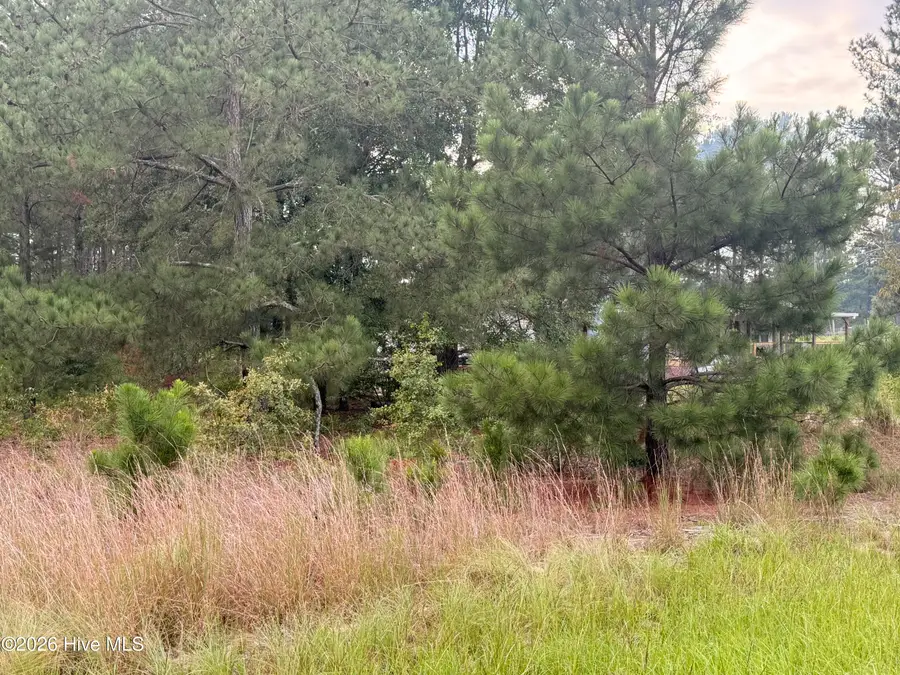 1284 Windblow Road, Jackson Springs, NC 27281 - #3