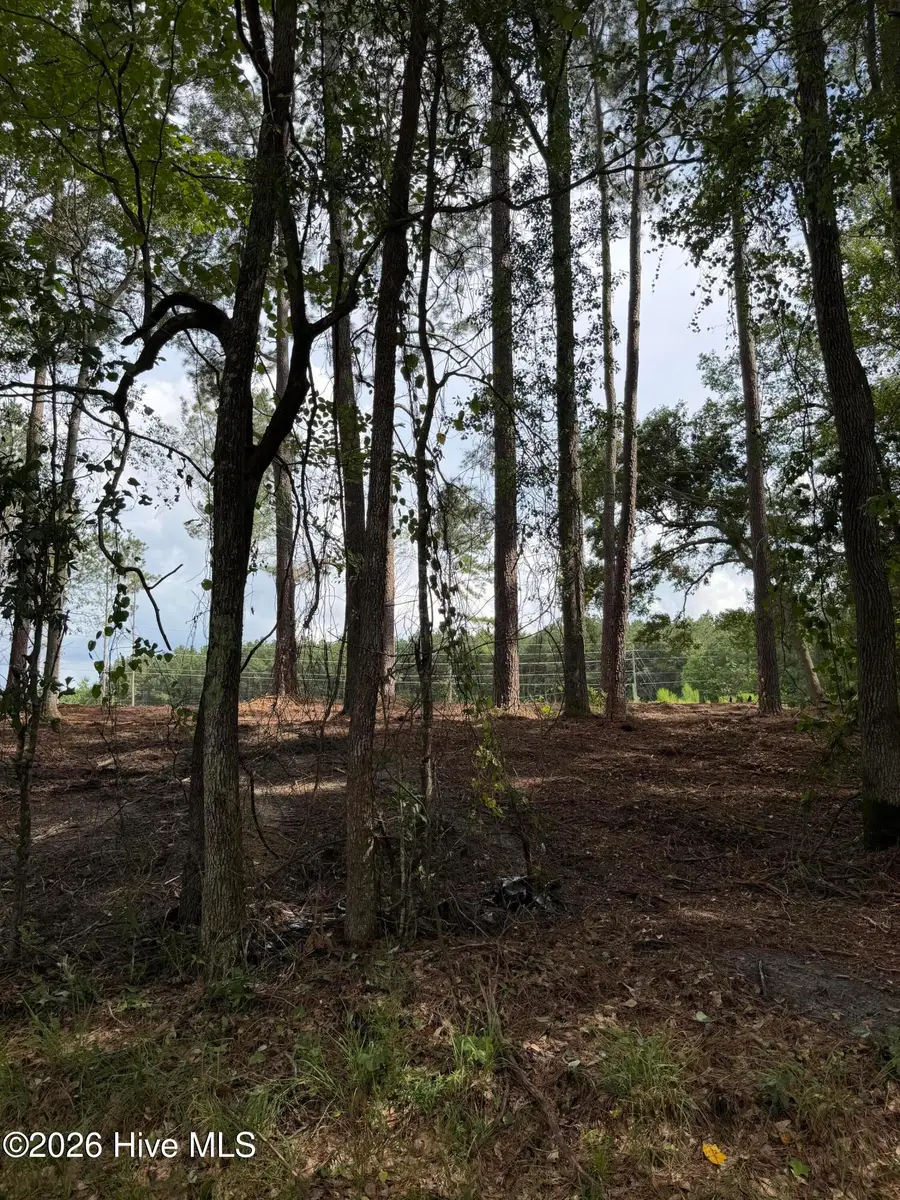 Tbd/Lot 2 Elmore, Laurinburg, NC 28352 - #2