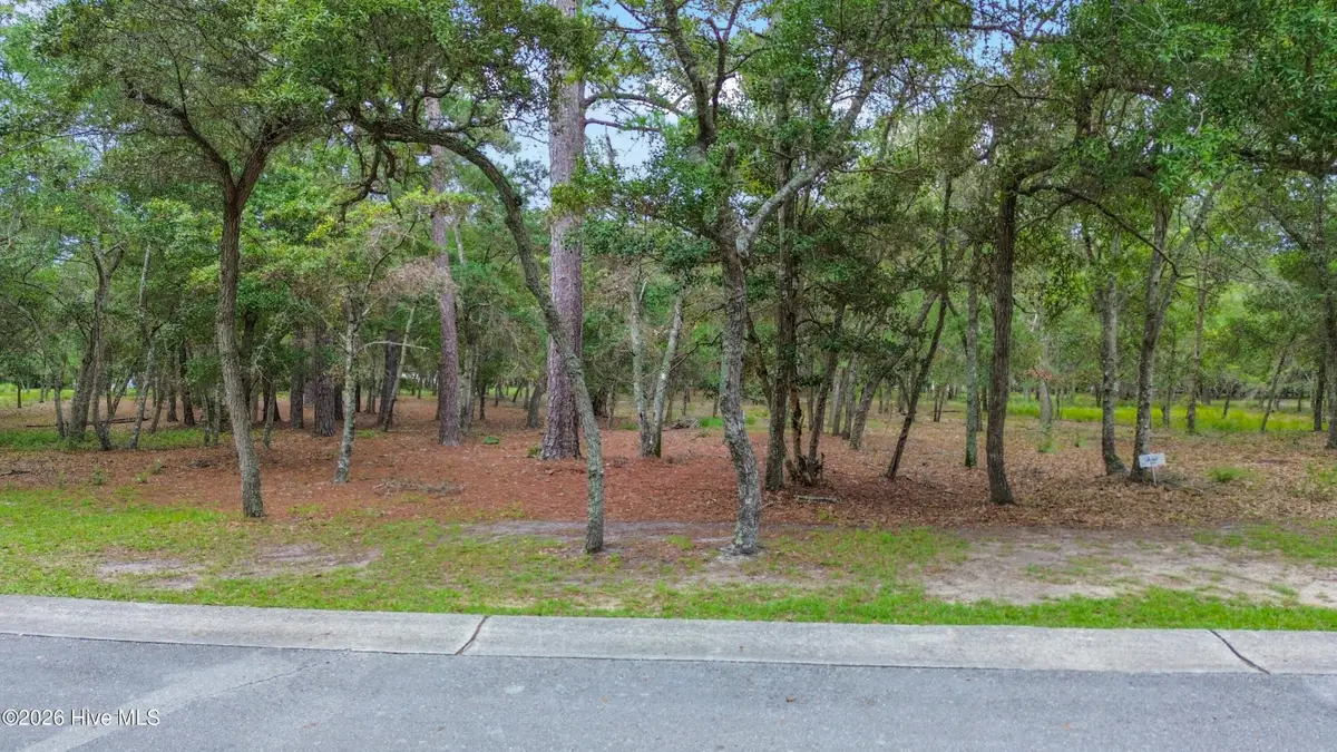 676 Parish Drive Sw, Supply, NC 28462 - #1
