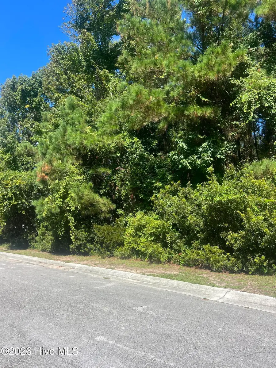103 Capn Pat Lane, Morehead City, NC 28557 - #3