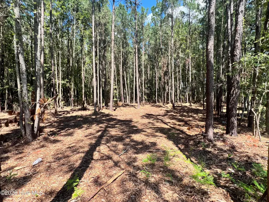 Lot 1 Elm Street, Belhaven, NC 27810 - #3