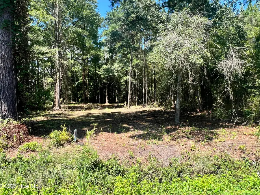 Lot 2 Elm Street, Belhaven, NC 27810 - #3