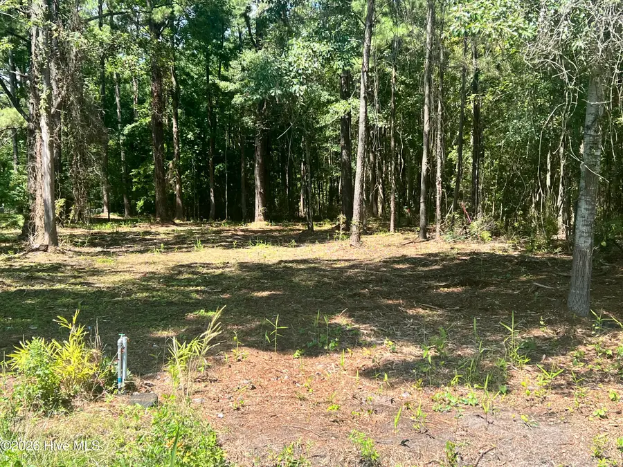 Lot 4 Elm Street, Belhaven, NC 27810 - #2