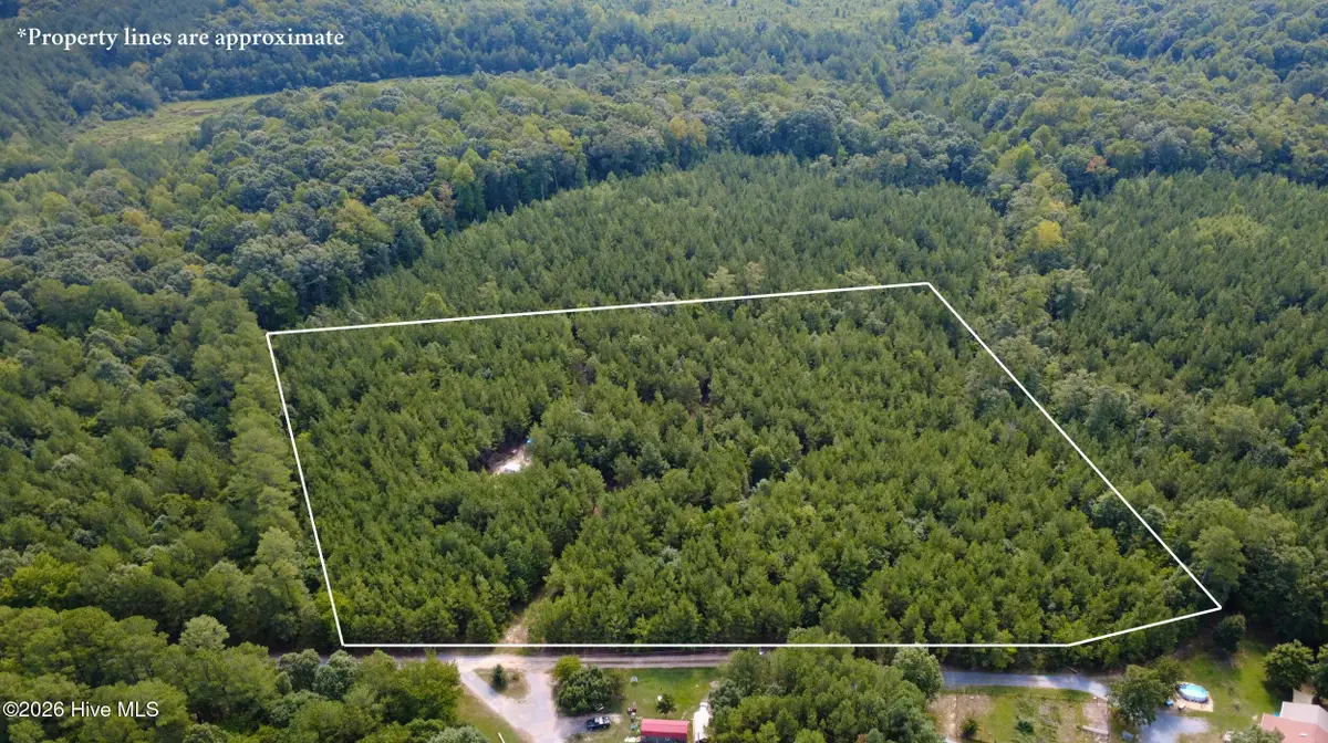 239 Lick Creek Road, Carthage, NC 28327 - #1