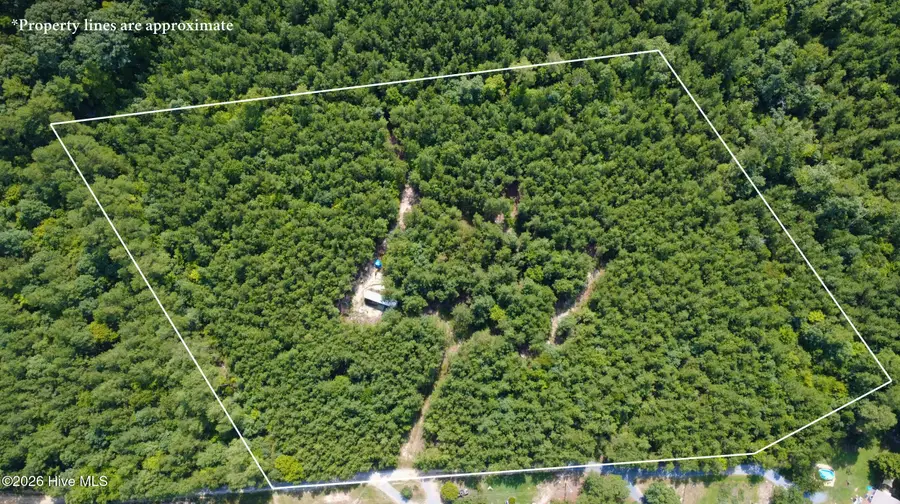 239 Lick Creek Road, Carthage, NC 28327 - #2