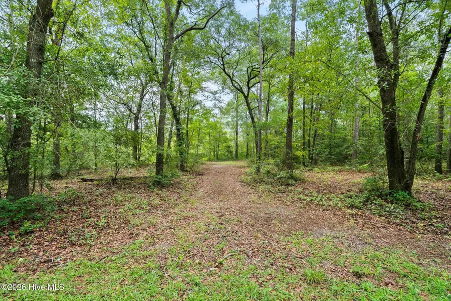 167 Falling Water Way, Wallace, NC 28466 - #2