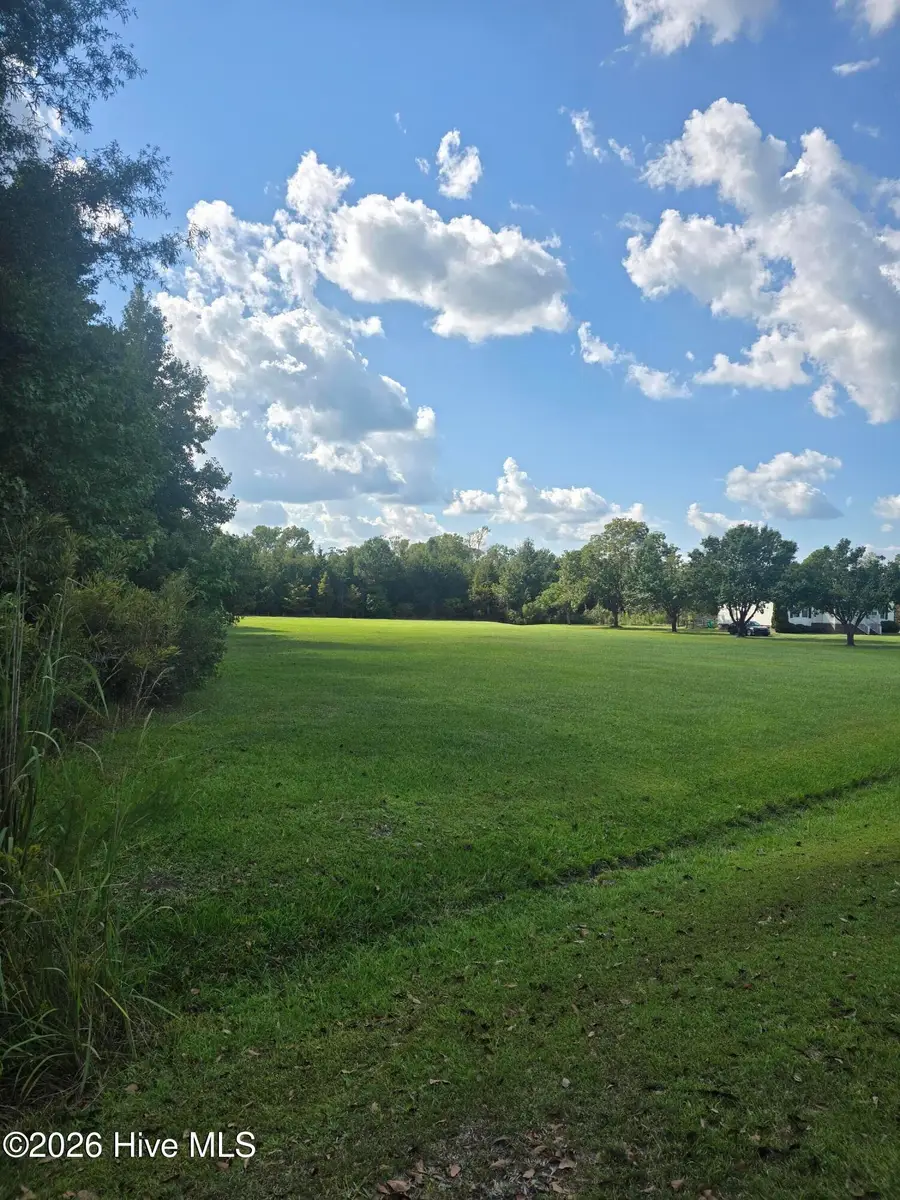 0 Lee Street, Bladenboro, NC 28320 - #2