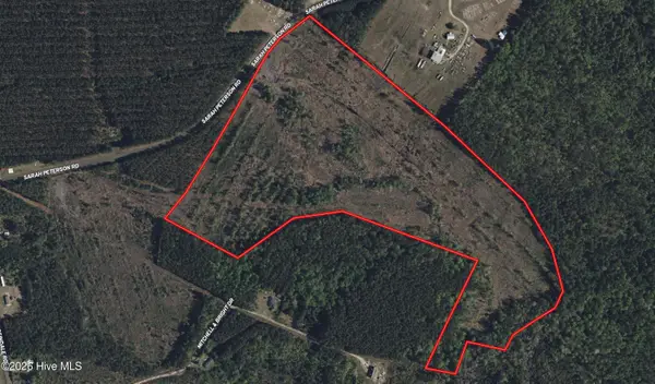 Tbd Sarah Peterson Road, Council, NC 28434